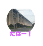 道路ってステキ！Part2（24スタンプVer.）（個別スタンプ：10）