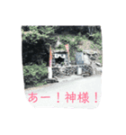 道路ってステキ！Part2（24スタンプVer.）（個別スタンプ：19）