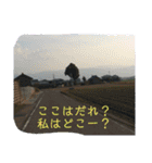 道路ってステキ！Part2（24スタンプVer.）（個別スタンプ：21）