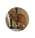 内田ねこ（個別スタンプ：5）