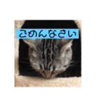 もんちー+α（個別スタンプ：22）