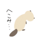 みーるのラッコちゃんスタンプ（日常編）（個別スタンプ：19）