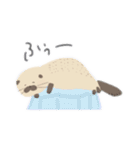 みーるのラッコちゃんスタンプ（日常編）（個別スタンプ：40）