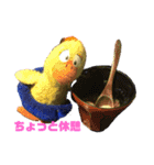 ぴよぽよさん3'（個別スタンプ：5）