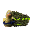 ぴよぽよさん3'（個別スタンプ：11）