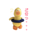 ぴよぽよさん3'（個別スタンプ：13）