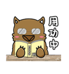 中国語喋るウォンバットちゃん！パート2（個別スタンプ：16）