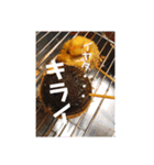 食いしん坊『神市』スタンプ（個別スタンプ：6）