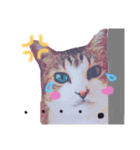保護っ子ファミリー③（個別スタンプ：3）