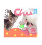 保護っ子ファミリー③（個別スタンプ：4）