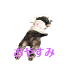 可愛いマロチロ 第2弾（個別スタンプ：2）