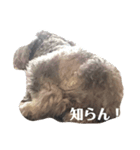 キャンディーとショコラ（個別スタンプ：4）