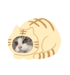 猫のチョビ…時々友達（個別スタンプ：13）