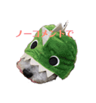 トイプードルのふうちゃんスタンプ（個別スタンプ：12）