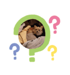 さくらちゃんの家事日記（個別スタンプ：3）