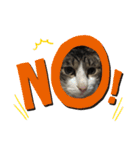 nora.nora（個別スタンプ：4）