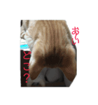 nora.nora（個別スタンプ：14）