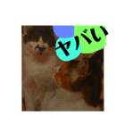 猫色（個別スタンプ：5）