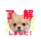 ちゅららんぷ（個別スタンプ：1）