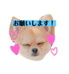 ちゅららんぷ（個別スタンプ：2）