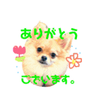 ちゅららんぷ（個別スタンプ：3）