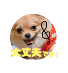 ちゅららんぷ（個別スタンプ：4）