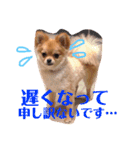 ちゅららんぷ（個別スタンプ：6）