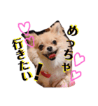 ちゅららんぷ（個別スタンプ：7）