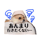 ちゅららんぷ（個別スタンプ：8）