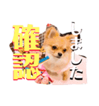 ちゅららんぷ（個別スタンプ：11）