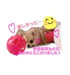 ちゅららんぷ（個別スタンプ：13）