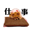 ちゅららんぷ（個別スタンプ：14）