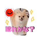 ちゅららんぷ（個別スタンプ：16）