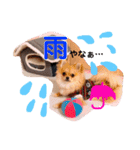 ちゅららんぷ（個別スタンプ：17）