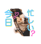ちゅららんぷ（個別スタンプ：18）
