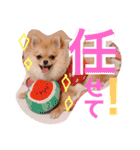 ちゅららんぷ（個別スタンプ：21）