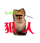 ちゅららんぷ（個別スタンプ：22）