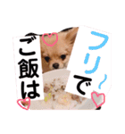 ちゅららんぷ（個別スタンプ：27）