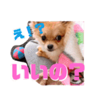 ちゅららんぷ（個別スタンプ：29）