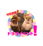 ちゅららんぷ（個別スタンプ：33）