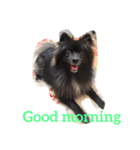 DogPomeranian☆（個別スタンプ：6）