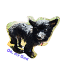 DogPomeranian☆（個別スタンプ：32）