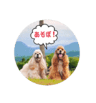 リロ＆ベル 3（個別スタンプ：2）