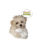 おもち①（個別スタンプ：1）