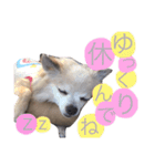 耕太くんスタンプ（個別スタンプ：5）