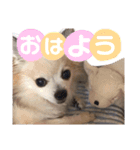 耕太くんスタンプ（個別スタンプ：10）