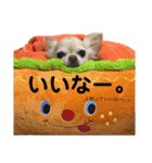 とうくんすたんぷ（個別スタンプ：24）