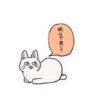 ぢゃすとねこ（個別スタンプ：15）