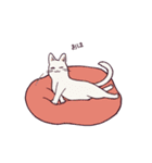 ぢゃすとねこ（個別スタンプ：17）