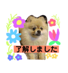 ぷりんさんのスタンプ（個別スタンプ：6）